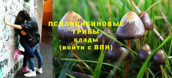 apvp Балахна