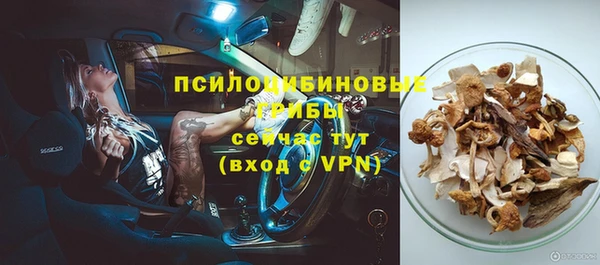 apvp Балахна
